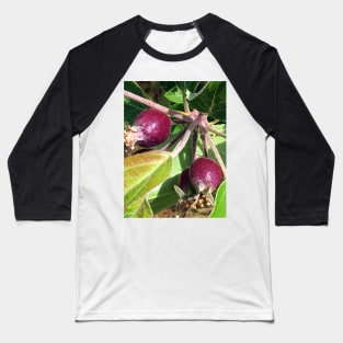 Budding Fruit Baseball T-Shirt